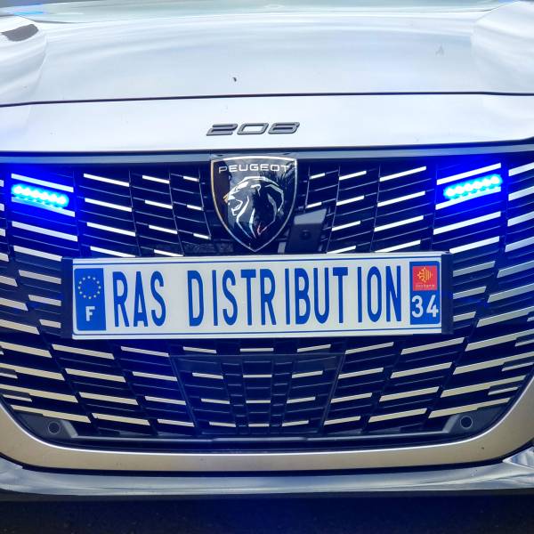 Feux de pénétration bleus installés sur calandre de PEUGEOT e-208